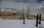 CroppedImage9059-256_5